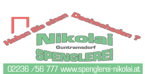 dachschaden-neu